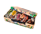 6  Chocolate Pack  NEW CHARMING PRESENTATION!